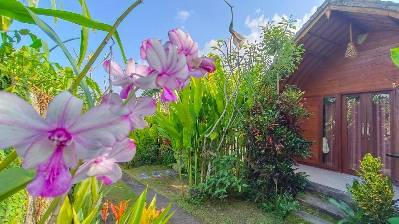 Morning Bali Bungalow Canggu Εξωτερικό φωτογραφία