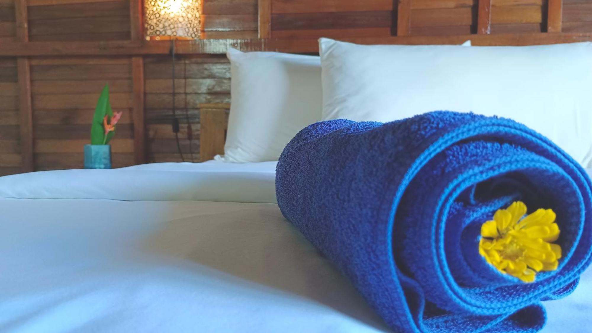Morning Bali Bungalow Canggu Εξωτερικό φωτογραφία
