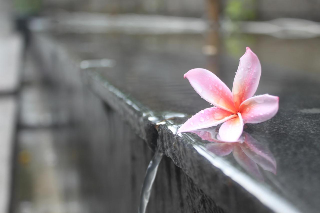Morning Bali Bungalow Canggu Εξωτερικό φωτογραφία
